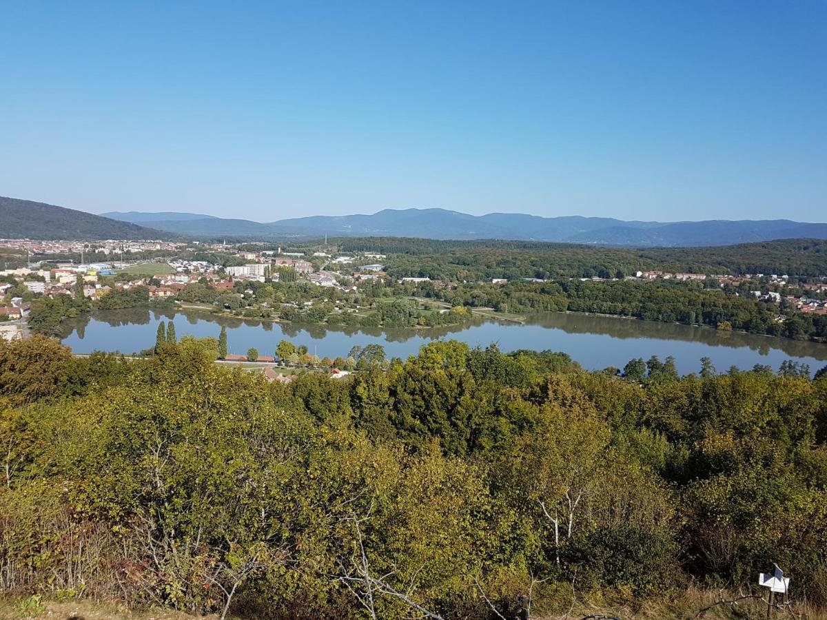 Séjour chez l'habitant Le Nid Fleuri De