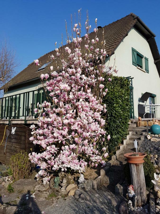 Le Nid Fleuri De Séjour chez l'habitant